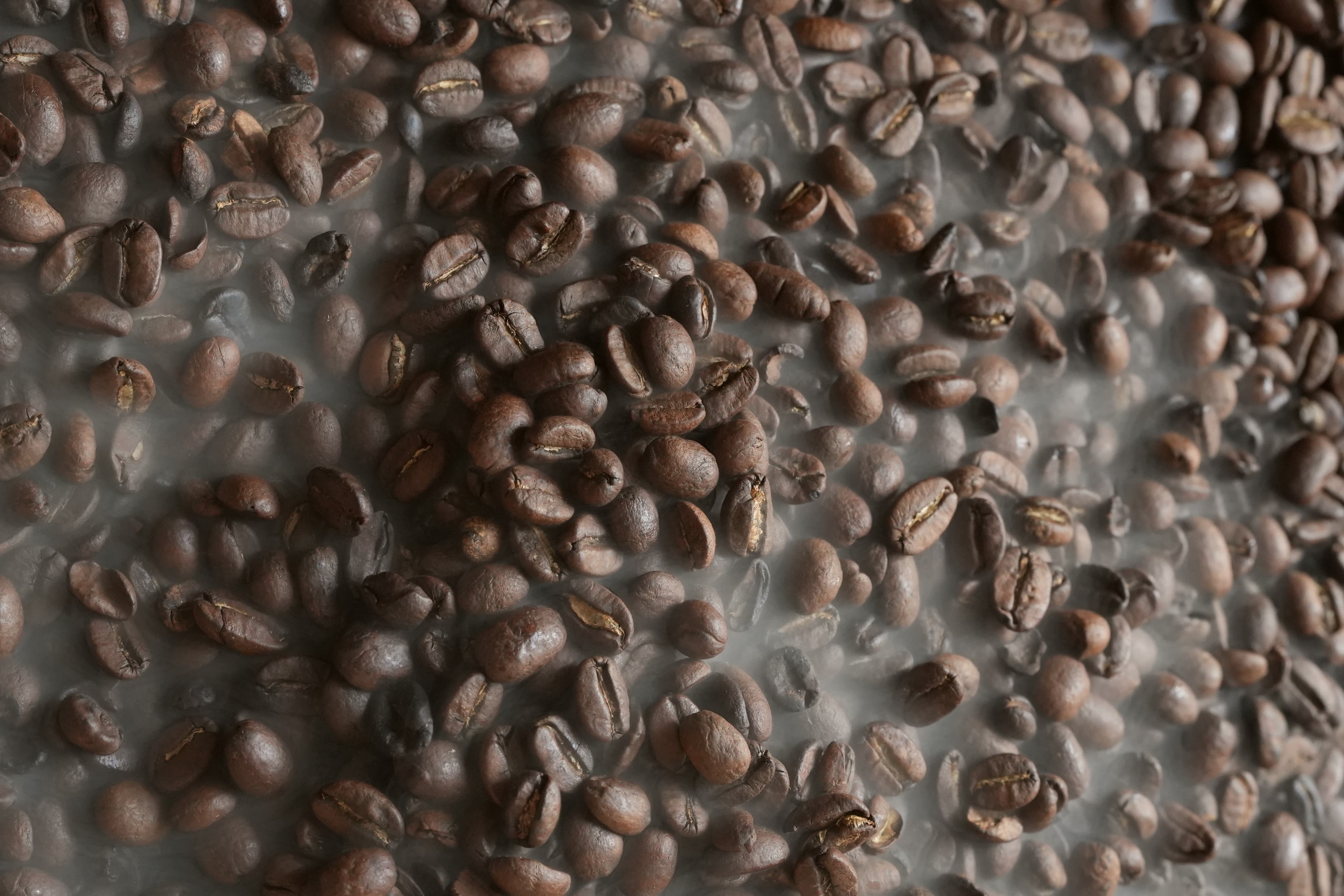 Granos de café de especialidad AM Café
