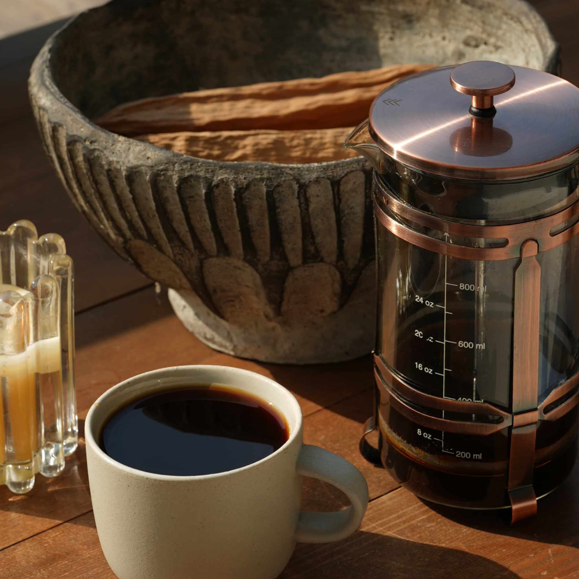 Planta de café en las montañas de Veracruz