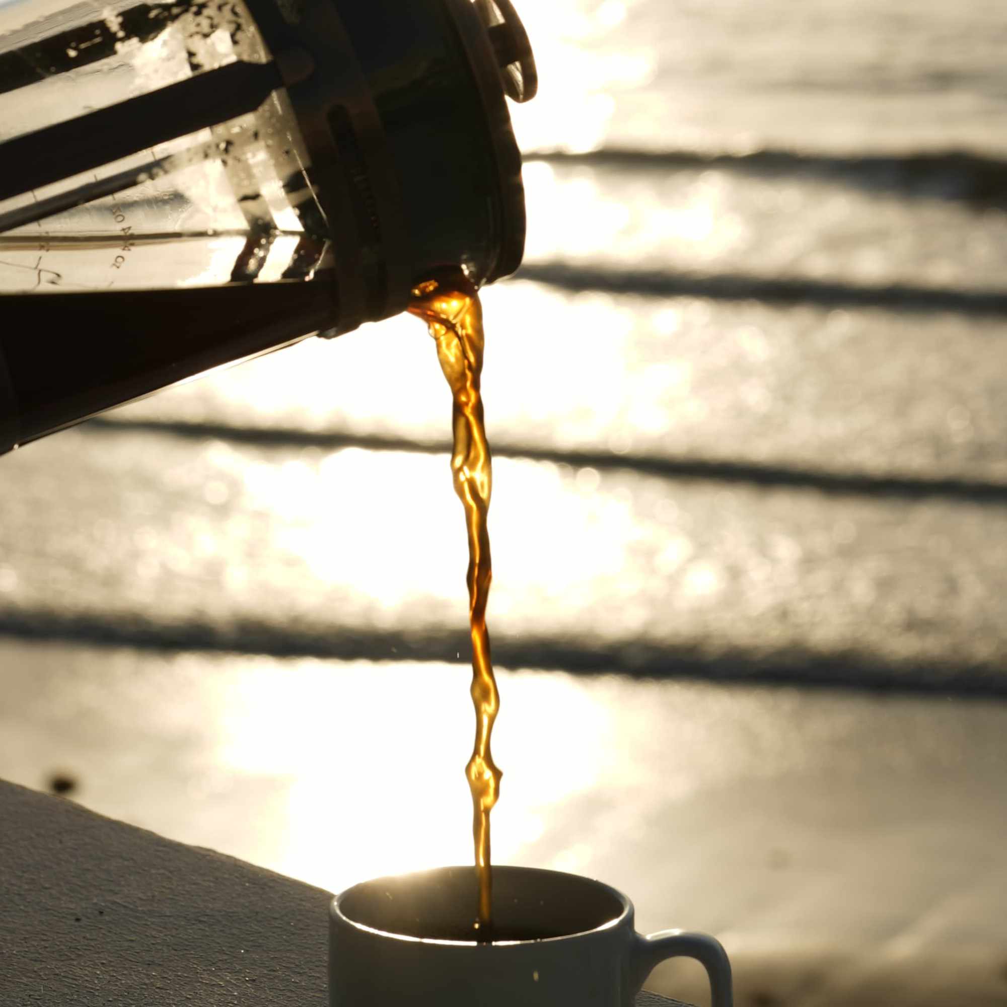 Granos de café recién cosechados